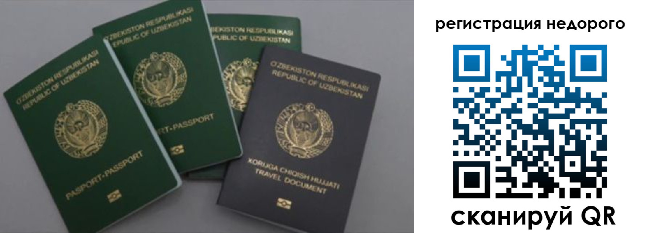 пропишу в квартире в Боготоле
